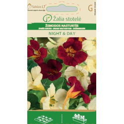 Blomkarse NIGHT & DAY