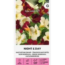 Blomkarse NIGHT & DAY