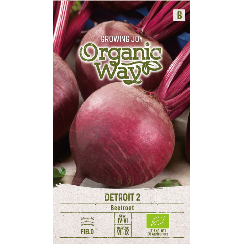 Rødbeter detroit 2 ORGANIC