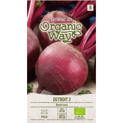 Rødbeter detroit 2 ORGANIC