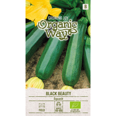 Squashfrø BLACK BEAUTY