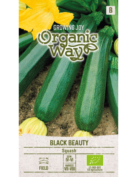 Squashfrø BLACK BEAUTY
