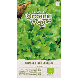 Salatfrø BIONDA A FOGLIA RICCIA