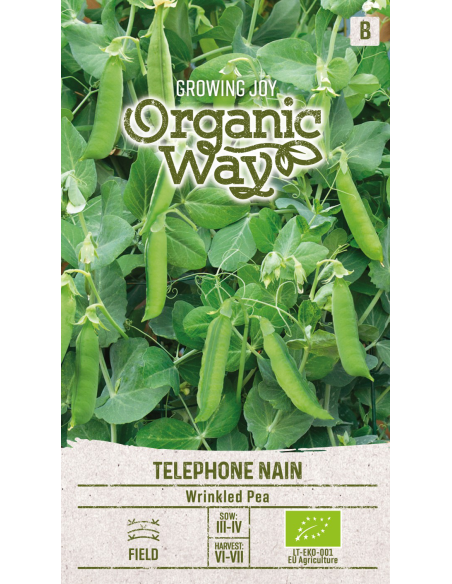 Erter TÉLÉPHONE NAIN