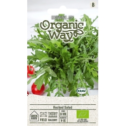 Ruccola SALAD ORGANIC
