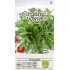 Ruccola SALAD ORGANIC