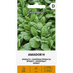 Spinat AMADOR H