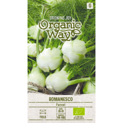Fennikel ROMANESCO ORGANIC