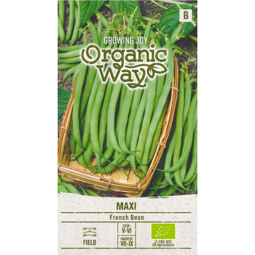 Brekkbønne MAXI ORGANIC
