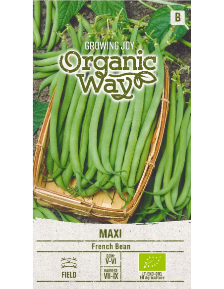 Brekkbønne MAXI ORGANIC