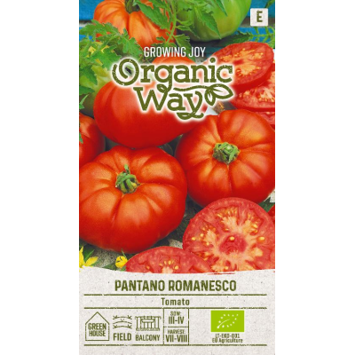 Tomat PANTANO ROMANESCO økologisk