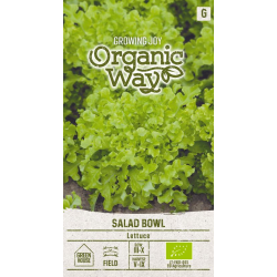 Salatfrø LETTUCE SALAD BOWL