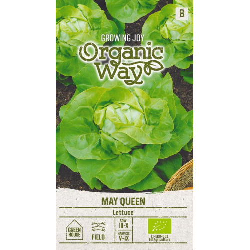 Salatfrø MAY QUEEN ORGANIC