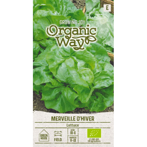 Salatfrø MERVEILLE D'HIVER ORGANIC