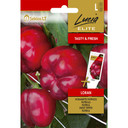 Paprika LORAN