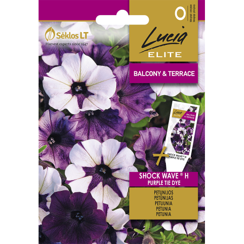 Petunia SHOCK WAVE® H PURPLE TIE DYE