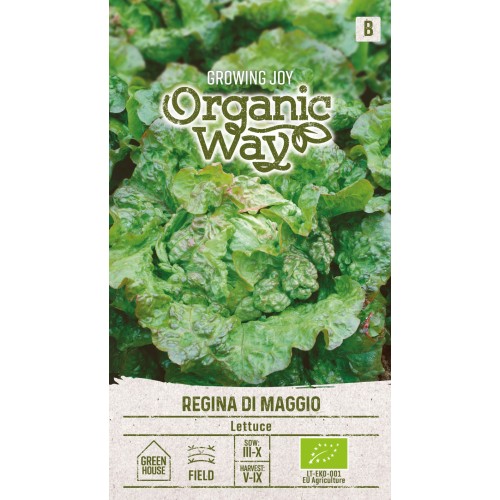 Salatfrø REGINA DI MAGGIO Organic