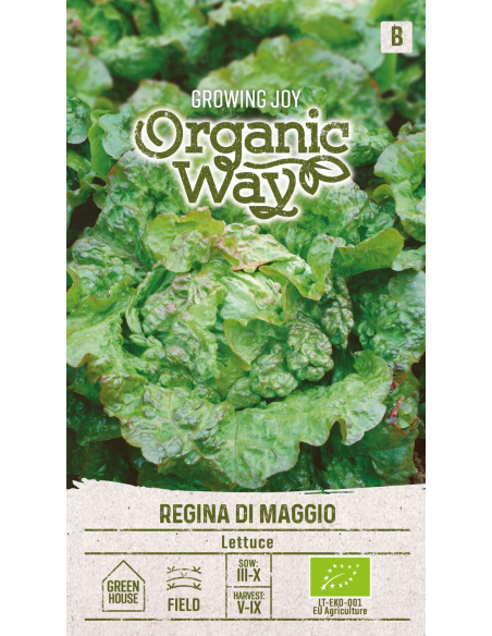 Salatfrø REGINA DI MAGGIO Organic
