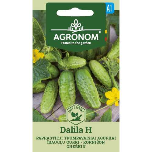 Agurkfrø DALILA H