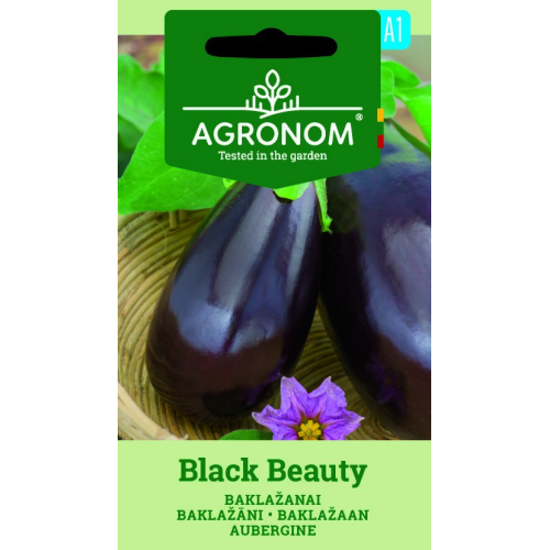 Auberginefrø BLACK BEAUTY