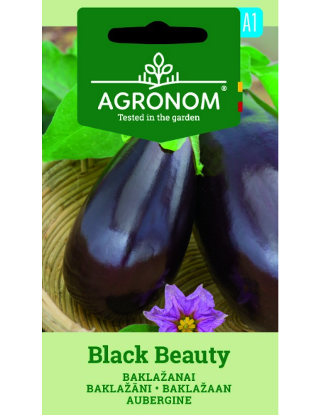 Auberginefrø BLACK BEAUTY
