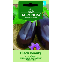Auberginefrø BLACK BEAUTY