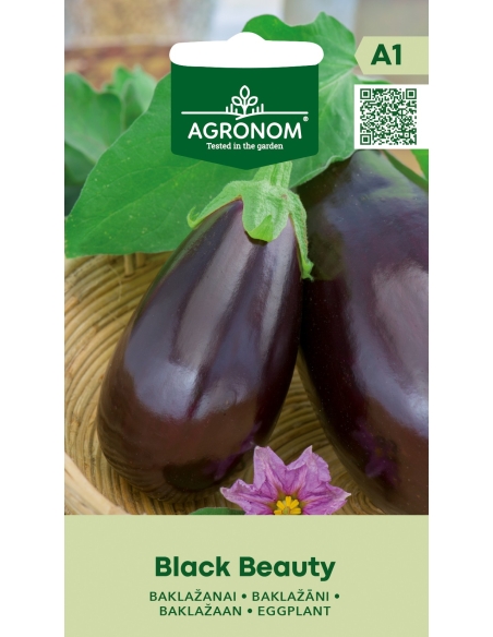 Auberginefrø BLACK BEAUTY