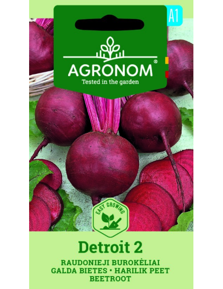 Rødbete DETROIT 2