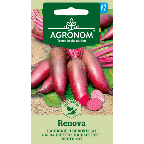 Rødbete RENOVA