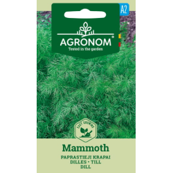Dillfrø MAMMOUTH