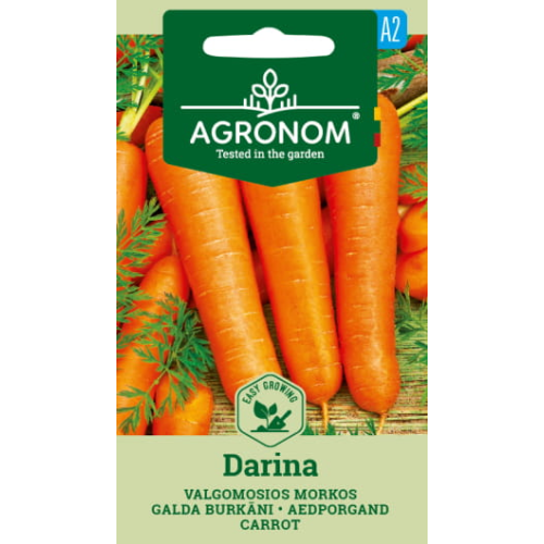 Gulrotfrø DARINA