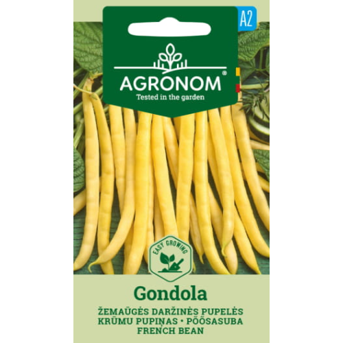 Buskbønne DWARF GONDOLA