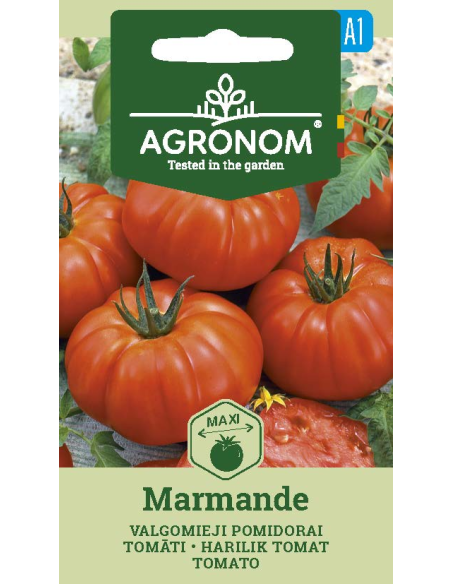 Tomat MARMANDE