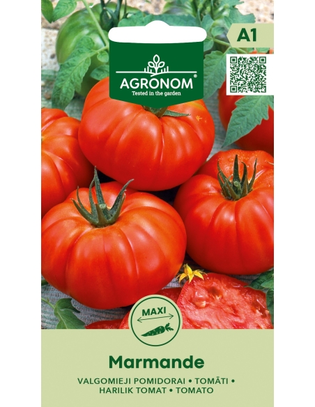 Tomat MARMANDE