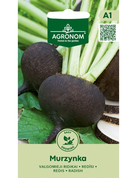 Reddikfrø MURZYNKA