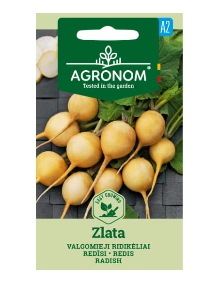 Reddik frø ZLATA