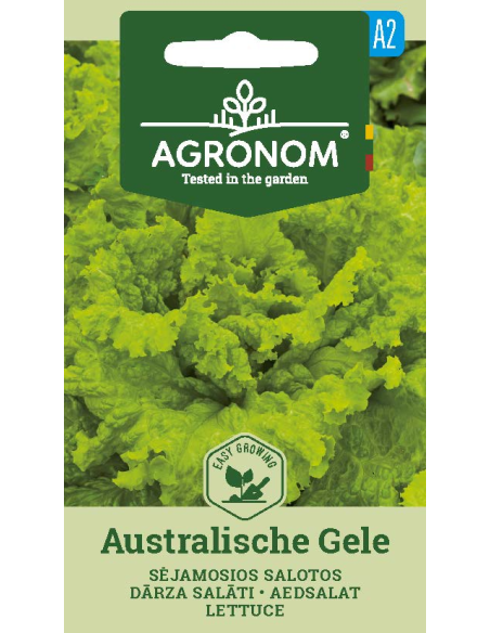 Salatfrø AUSTRALISCHE GELE