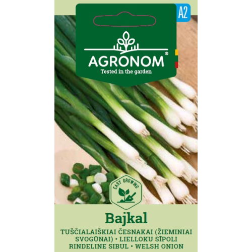 Vinterløk Hvitløk BAJKAL