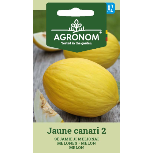 Melon JAUNE CANARI 2