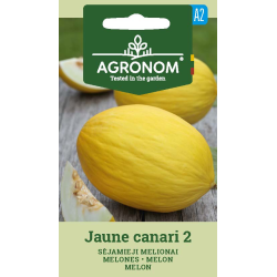 Melon JAUNE CANARI 2