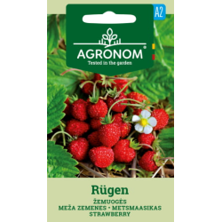 Markjordbær RUGEN