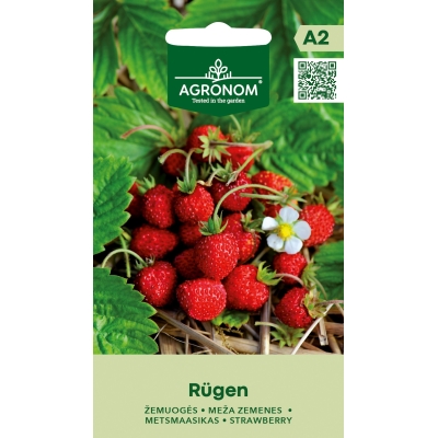 Markjordbær RUGEN