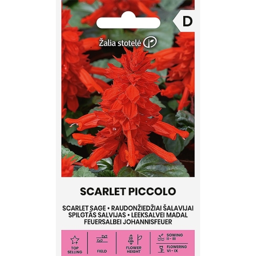 Rødsalvie frø SCARLET PICCOLO