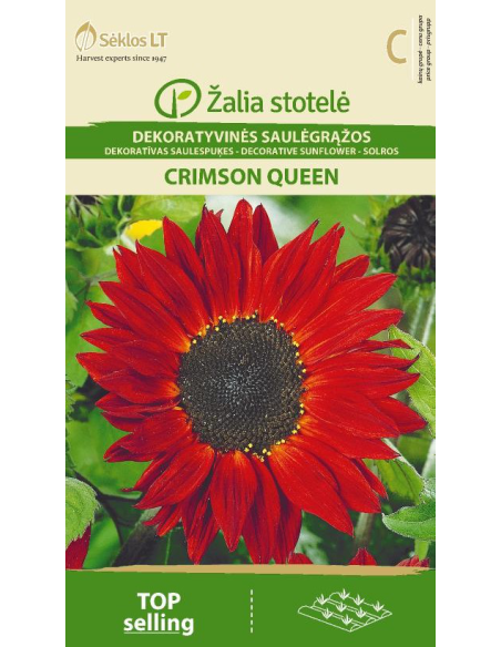Rød solsikke CRIMSON QUEEN