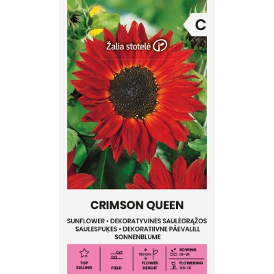 Rød solsikke CRIMSON QUEEN