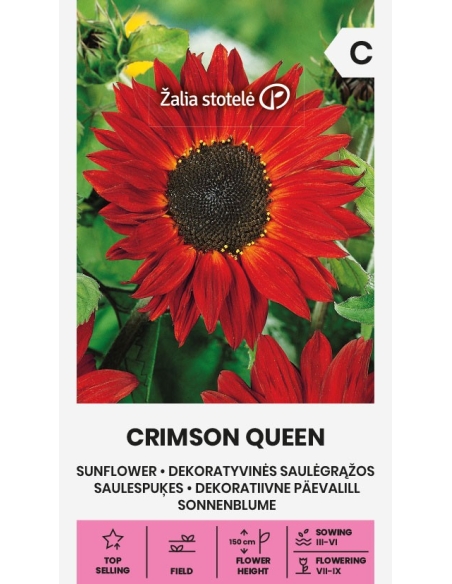 Rød solsikke CRIMSON QUEEN