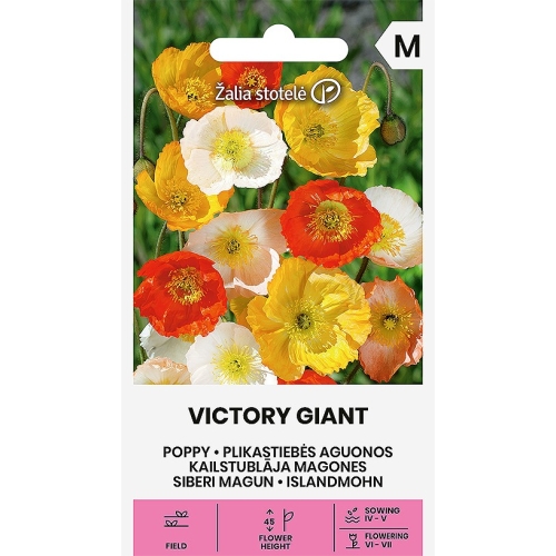 Kornvalmue Victory Giant