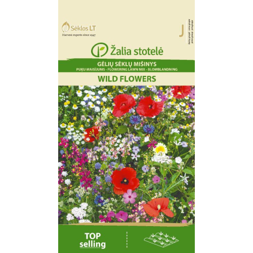 Blomsterblanding WILD FLOWERS