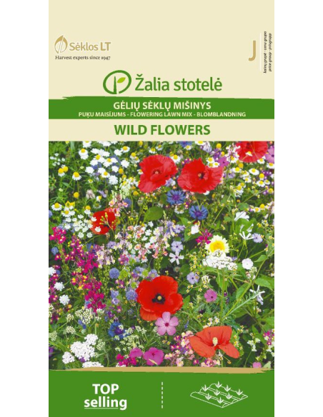 Blomsterblanding WILD FLOWERS