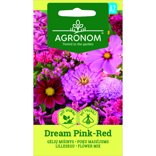 Blomsterblanding DREAM PINK-RED